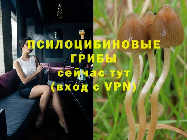 мяу мяу кристалл Арсеньев