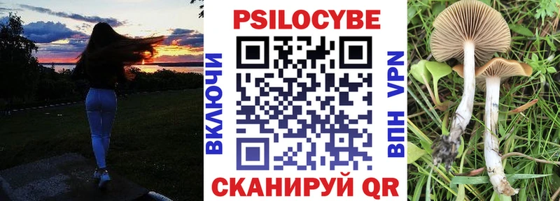 Псилоцибиновые грибы Psilocybe  Артёмовск 